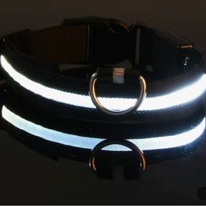 COPY - Glowing Dog Collars